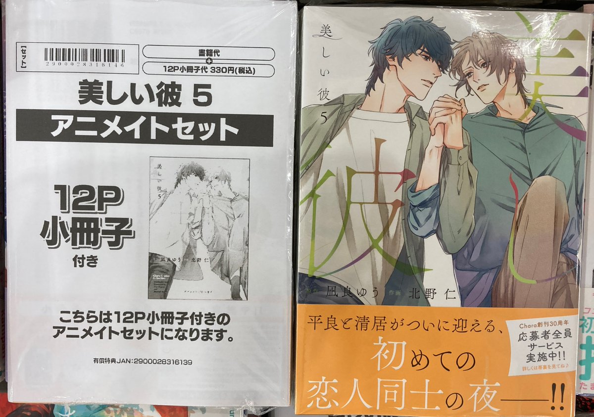 美しい彼 アニメイト特典CD・コミコミ特典リーフレット付き 凪良ゆう 北野仁 / 凪良ゆう「美しい彼」アニメイト小冊子セット - メルカリ
