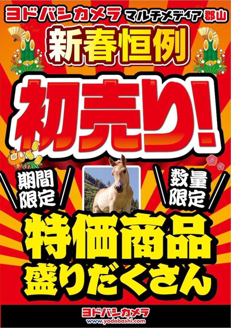 あけましておめでとうございます🌅 2026年もヨドバシ郡山を よろしく